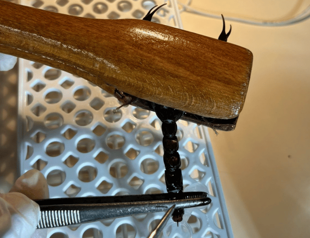 Türkiye to export scorpion antivenom to Europe