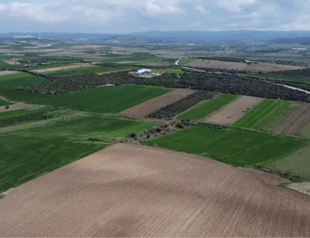 Lost martyrs’ cemetery from Gallipoli campaign located