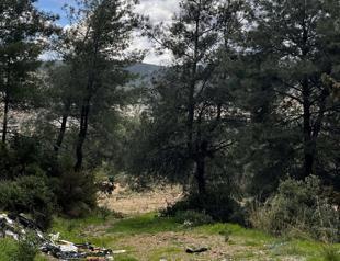Decision to set mining zone near Akbelen Forest canceled