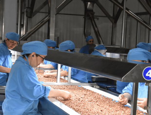 Companies likely to boost hiring, shows survey