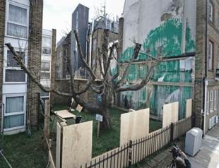 Banksy tree mural fenced off after apparent vandalism