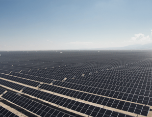 World Bank provides financing for green transition