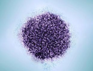 Hepatitis viruses kill 3,500 people a day: WHO