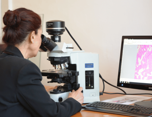 ‘Passive smoking may cause cancer in pets’