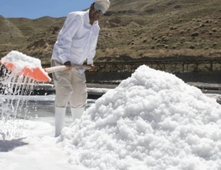 With a grain of salt