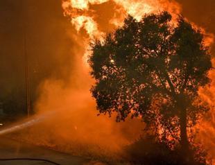 Wildfire rages in eastern Spain as temperatures rise