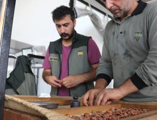 Türkiye sees intergenerational continuity of occupation: TÜİK