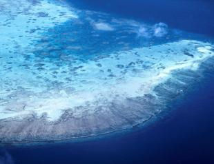 Australias Great Barrier Reef hit by record bleaching
