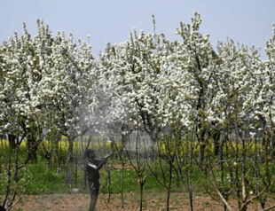 Ministry seizes 20 tons of illegal pesticide