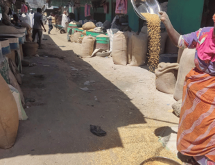 Nearly 282 million people faced acute hunger in 2023, with the worst famine in Gaza