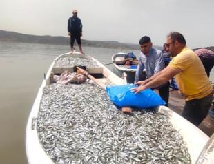 Landlocked province exports fish to Europe