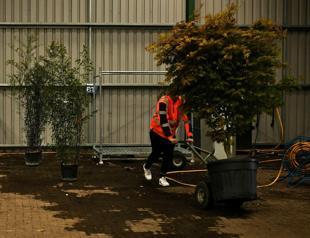 New post-Brexit controls: a thorn for UK horticulture