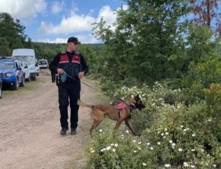 Animal predation suspected in Korhan Berzeg case