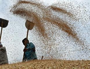 Moroccos farming revolution: defying drought with science