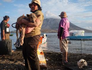 Rescuers brave Indonesia volcano eruptions to save pets