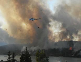 Türkiye’s AI forest fire system wins UN award