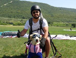 Paraglider takes skies across country with rescued dog