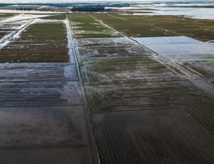 Brazil drops rice tariffs after flooding hits farming region