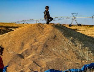 More than one in four Syrians extremely poor: World Bank