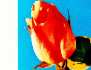 New exhibition at Pera Museum