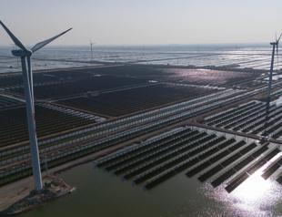 China emissions fall in March, may have peaked: report