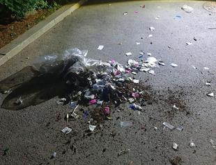 North Korea sends balloons of trash, faeces into South