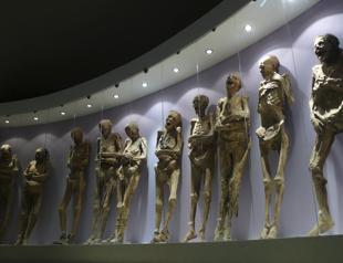 19th century mummy mishandled by museum staff