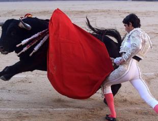 Colombia congress passes bill banning bullfighting
