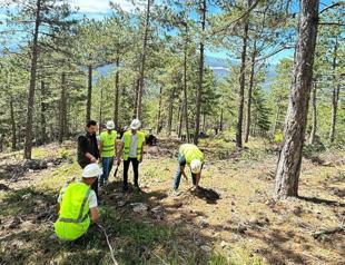 Ministry unveils major forest project