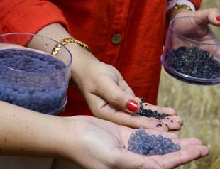 Scientists develop hydrogel to combat drought in Mediterranean vineyards