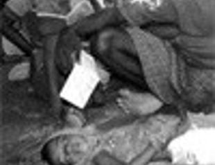 Thousands flee from Sri Lankan war zone