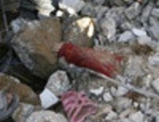 Israel expands Gaza push, kills 40 people at UN school