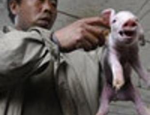 WHO declares swine flu pandemic, raises alert to highest level