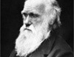 Top science council undergoes evolution