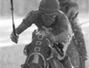 Belmont Stakes sees Summer Bird victory