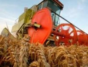 Süt, pirinç ve şekerde fiyatlar el yakabilir