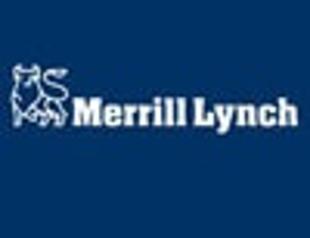 Merrill downgrades Turkish banks