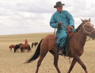 Scientists trace the origin of modern horse