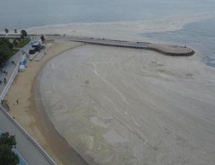 Experts predict mucilage-free summer for Marmara Sea