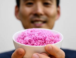 Meaty rice South Korean professor aims to change global protein
