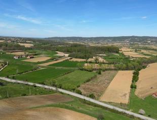 Serbia could mine lithium as early as 2028: Report