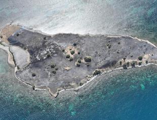 Fire ravages İzmirs Çiçek Island