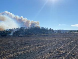 Villages evacuated as major wildfire rages in Aegean city