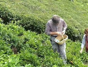 New-generation initiatives boost ‘Turkish tea tourism’