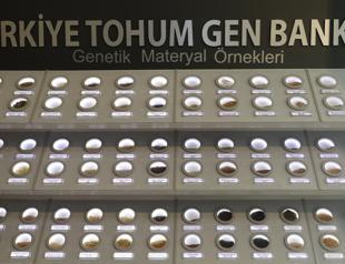 Seed gene banks ensure plant diversity amid climate challenges