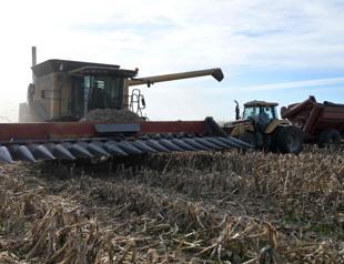 Argentina has surplus harvest, but farmers want more from Milei