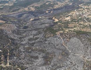 June sees fivefold increase in forest fires in Türkiye