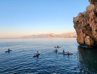 ‘Paddleboarders pose risk to Mediterranean monk seals’