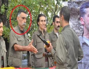 Turkish intel neutralizes senior PKK member in Syria