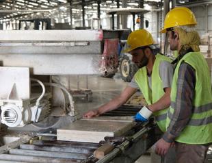 Economic confidence index falls in June